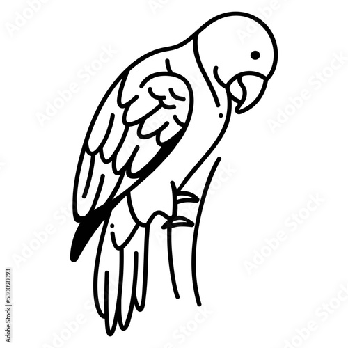 Eclectus parrots icon