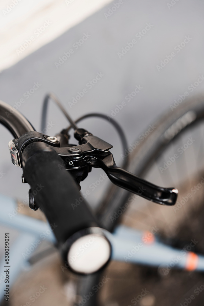 Grip and brake lever of the mountain bike Grip and brake lever of the mountain bike