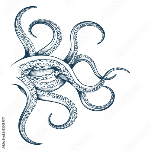 Tentacles ink sketch