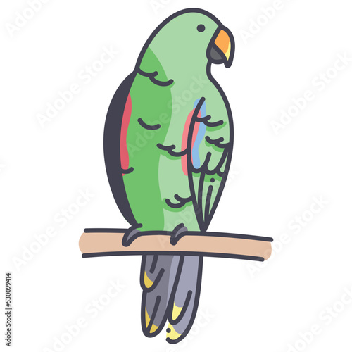 Eclectus parrots icon photo