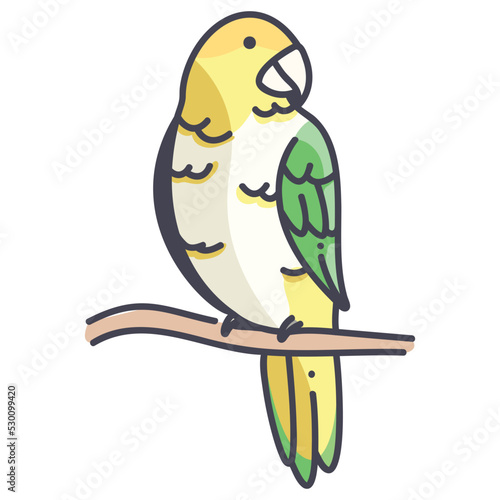 white bellied caique icon photo