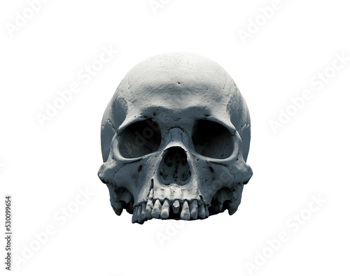Human skull and wide-open mouth on white isolated background. The concept of death, horror. A symbol of spooky Halloween. 3d rendering illustration.