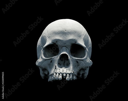 Human skull on black isolated background. The concept of death, horror. A symbol of spooky Halloween. 3d rendering illustration.