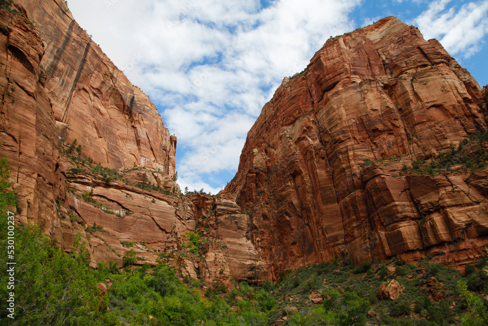 Fototapeta premium Towering, impressive red rock formations at Zion National Park 