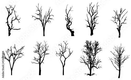 Beautiful winter tree silhouettes  highly detailed.