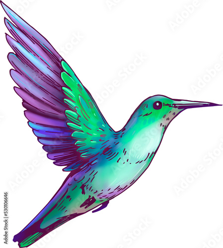 Obraz na plátne Hummingbird flying transparent background illustration