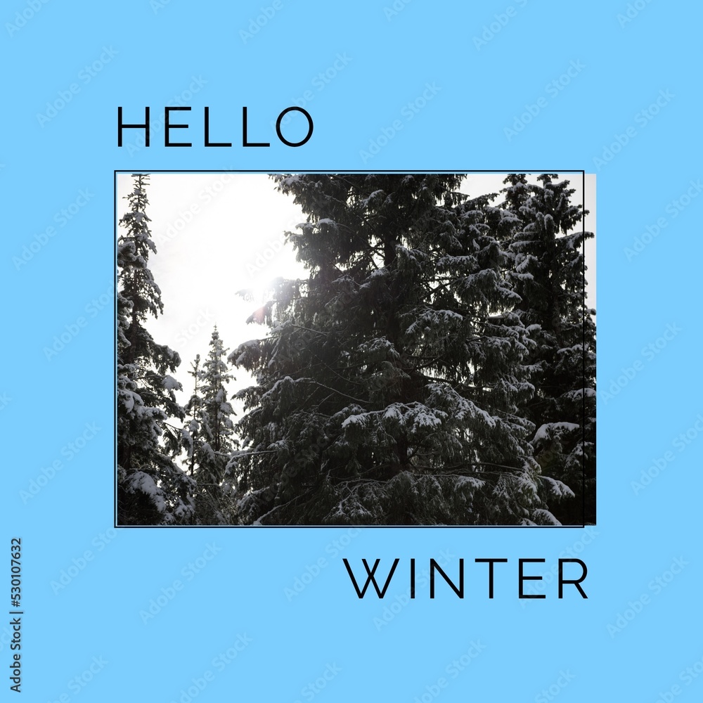 Fototapeta premium Square image of hello winter text with winter forest picture over blue background