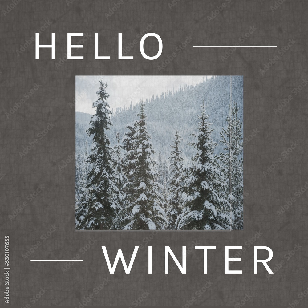 Fototapeta premium Square image of hello winter text with winter forest picture over grey background