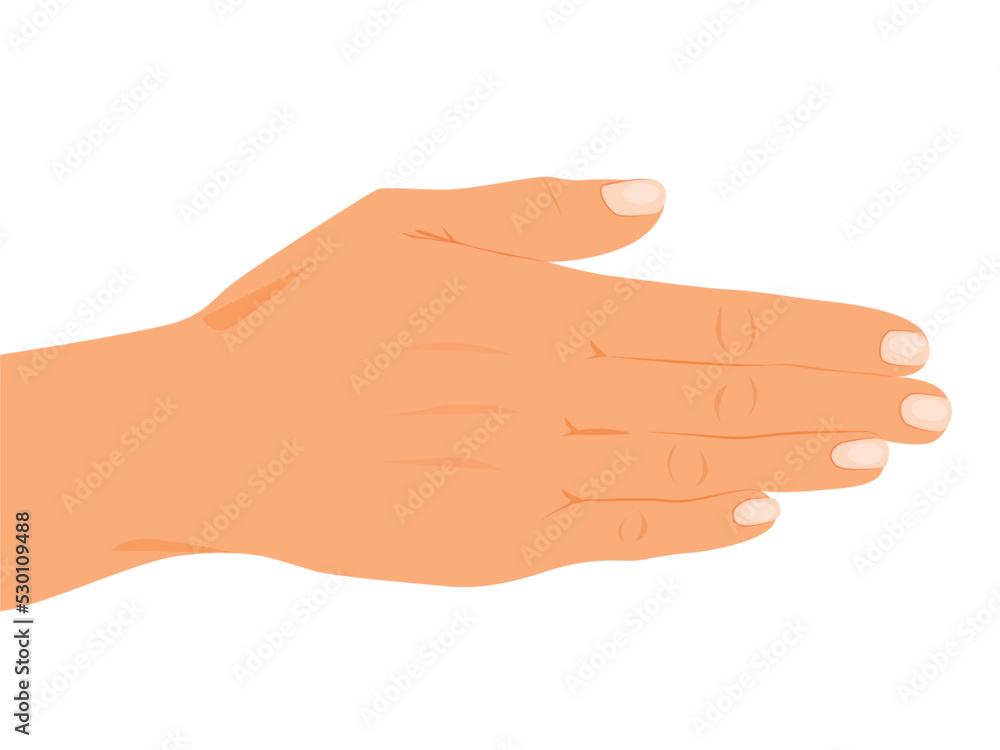 Open Hand gestures, human palms, and wrist Open Hand gestures, human palms, and wrist