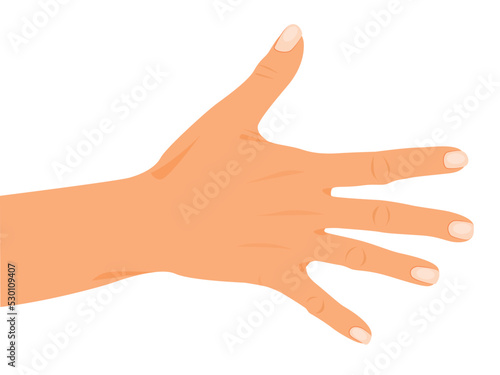 Open Hand gestures, human palms, and wrist