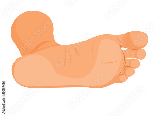 human legs, Feet Vector illustration for advertising, medical (health care) publications, animation