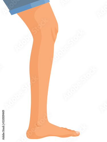 human legs profile, Vector illustration for advertising, medical (health care) publications, animation