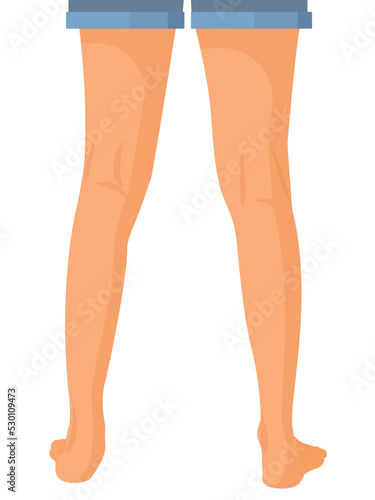 human legs, Feet Vector illustration for advertising, medical (health care) publications, animation