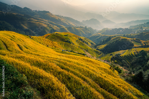 Longji Rice Terraces in China Sunrise view © NEWTRAVELDREAMS