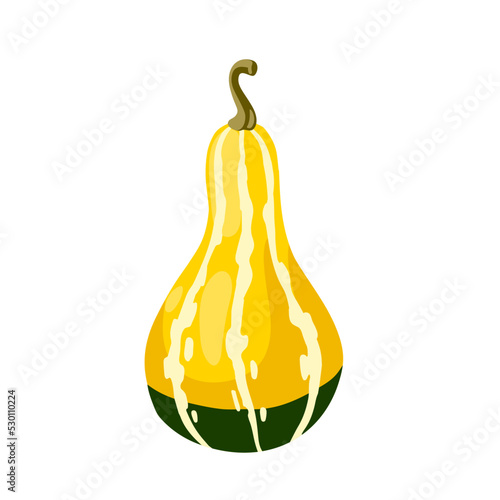 Hand drawn ornamental decorative long yellow gourd. Squash, pumpkin vegetable for thanksgiving and halloween. Vector isolated flat cartoon illustration.