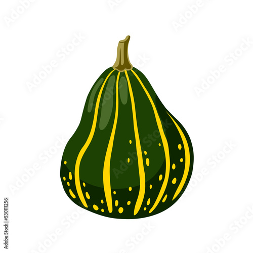 Hand drawn decorative green striped gourd. Autumn harvest, decoration for thanksgiving and halloween. Striped squash, pumpkin vegetable. Vector cartoon illustration.