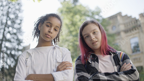 Εκτύπωση καμβά Two popular school girls bullying unpopular classmate pov, socializing problem