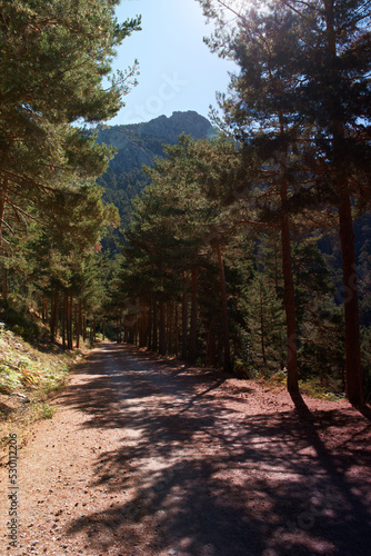 góry widok krajobraz drzewa natura lato