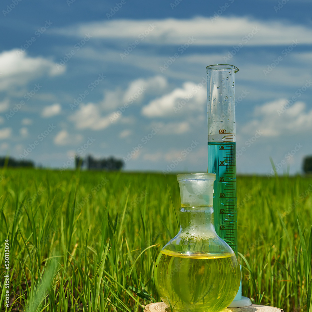Shoots Lab Flask Image of a glass flask with a chemical solution on the background of ...