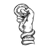 Snake in hand fist engraving PNG illustration with transparent background