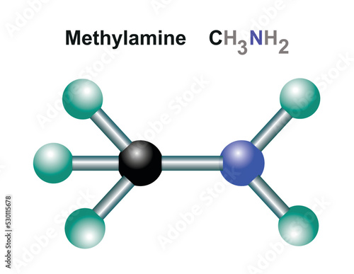 Methylamine molecule it is simple primary amine structural chemical formula and molecule model.