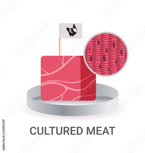 cultured raw red meat with label made from chicken animal cells artificial lab grown meat production concept