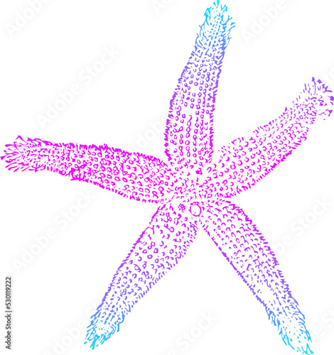 Illustration Art of Starfish  Multicolor Gradient