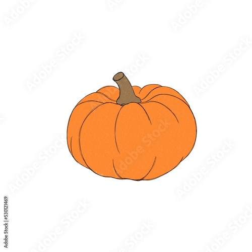 Pumpkin watercolor drawing free hand. Pumpkin for Thanksgiving. Bright pumpki...
