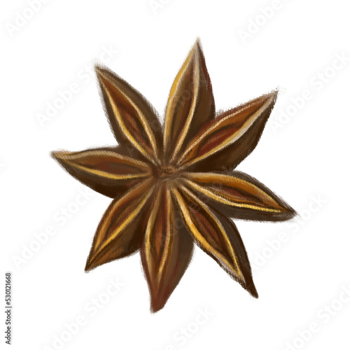 Watercolor star anise. Organic food. Gouache or oil on canvas