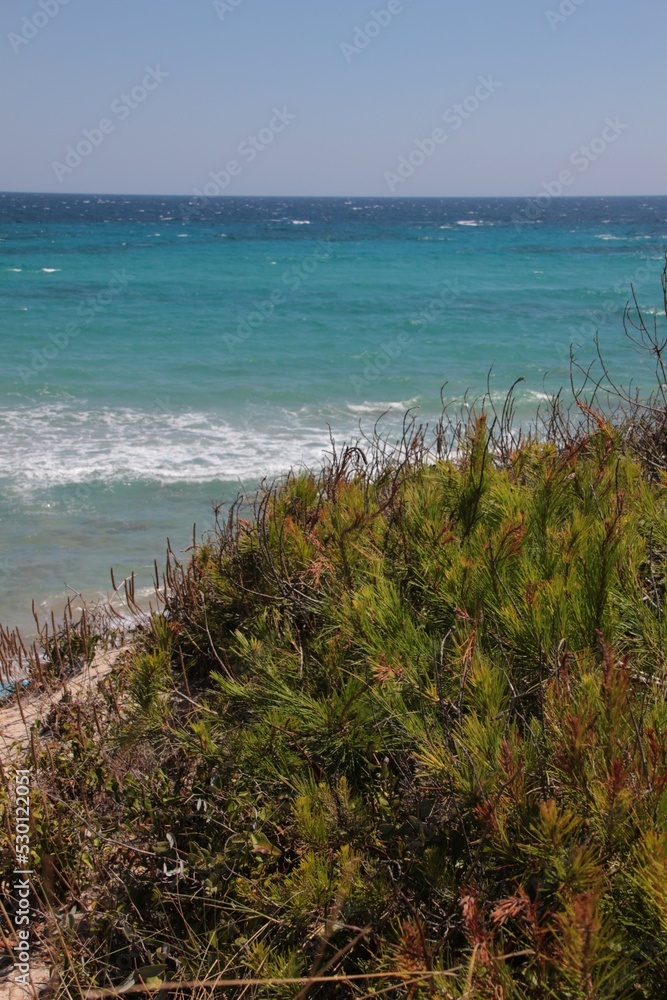 Italy, Salento: Mediterranean vegetation in Otranto Beach. Italy, Salento: Mediterranean vegetation in Otranto Beach.