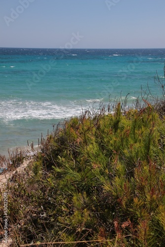 Italy  Salento  Mediterranean vegetation in Otranto Beach.