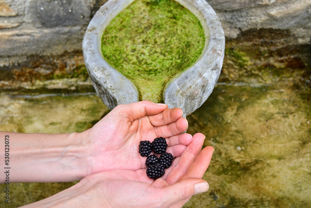 Hands holding fresh washed berries upon a spring outdoors. Hands holding fresh washed berries upon a spring outdoors.