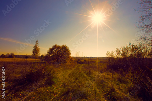 The setting sun against the background of the road and trees. © Светлана Лазаренко