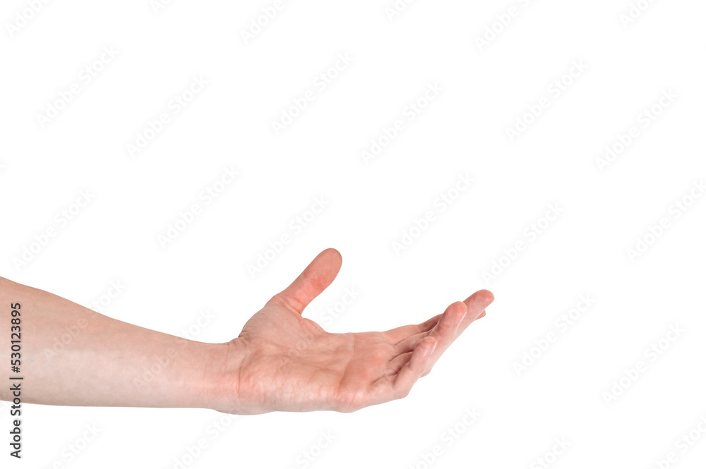 Realistic human hand showing gesture. White skin man arm isolated on transparent background. Relaxed palm ready to hold something Realistic human hand showing gesture. White skin man arm isolated on transparent background. Relaxed palm ready to hold something