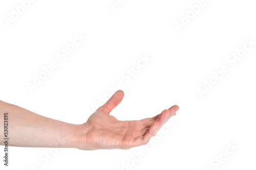 Realistic human hand showing gesture. White skin man arm isolated on transparent background. Relaxed palm ready to hold something © Katia