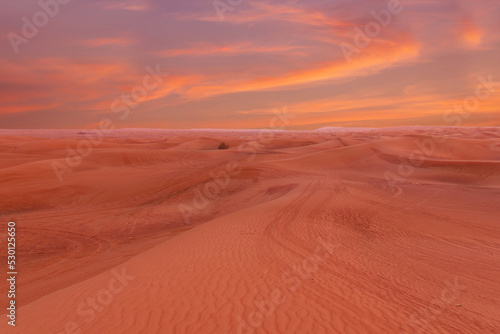 Sand desert sunset landscape, Dubai, United Arab Emirates