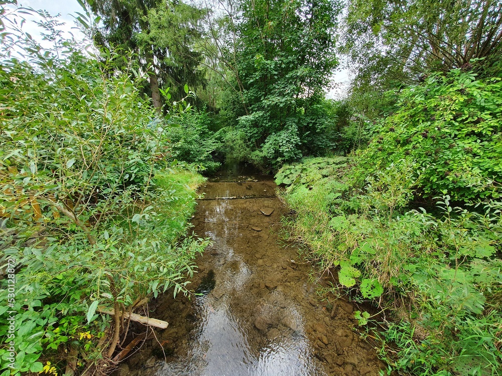 river among trees river among trees
