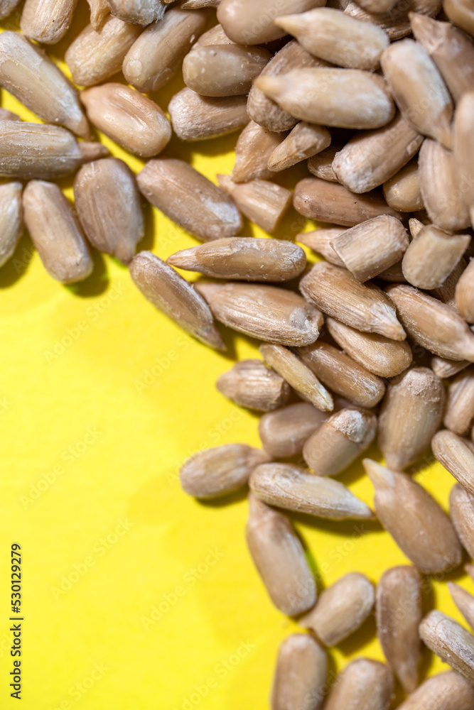 sunflower seed kernel on a yellow background