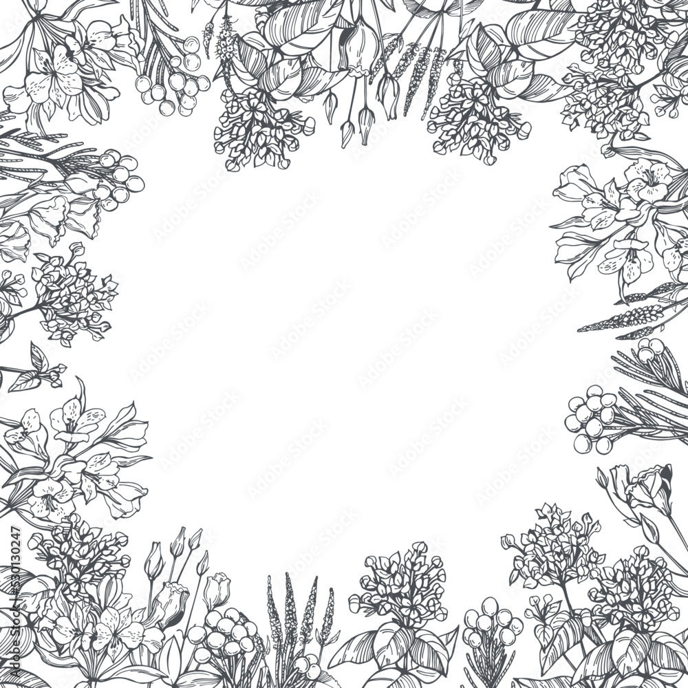 Floral background. Sketch  illustration.