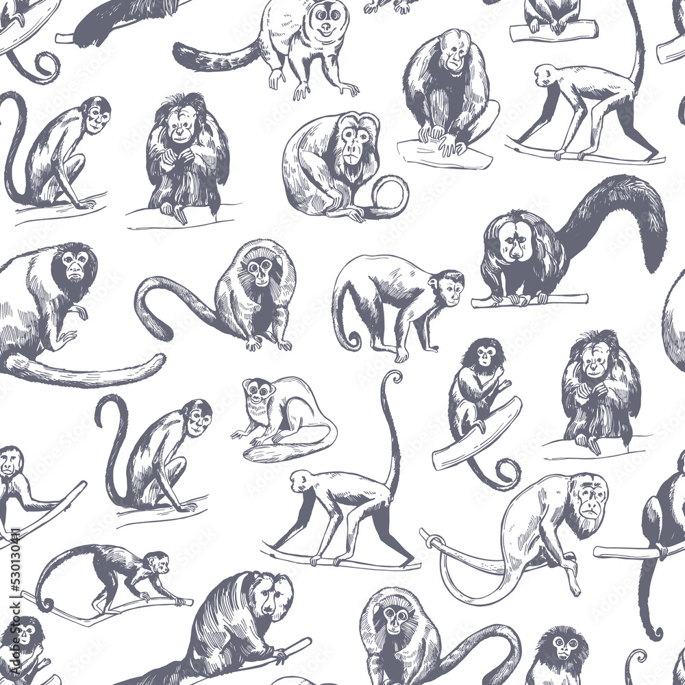 Vector pattern with hand-drawn monkeys of South America. Vector pattern with hand-drawn monkeys of South America.