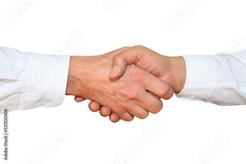Gesture series: greeting, handshake.
