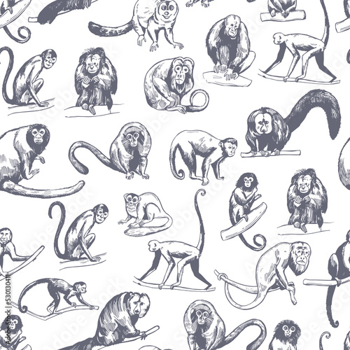 Vector  pattern with hand-drawn monkeys of South America.