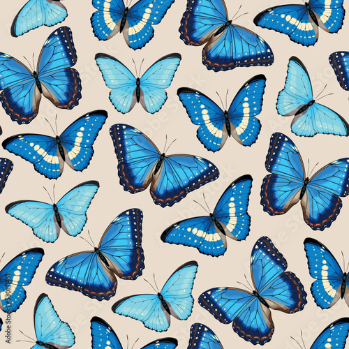 Vector pattern with high detailed tropic butterfly © olga_igorevna