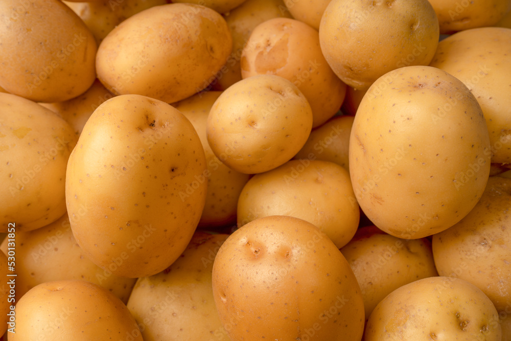 A group of fresh tasty potato as background. A group of fresh tasty potato as background.
