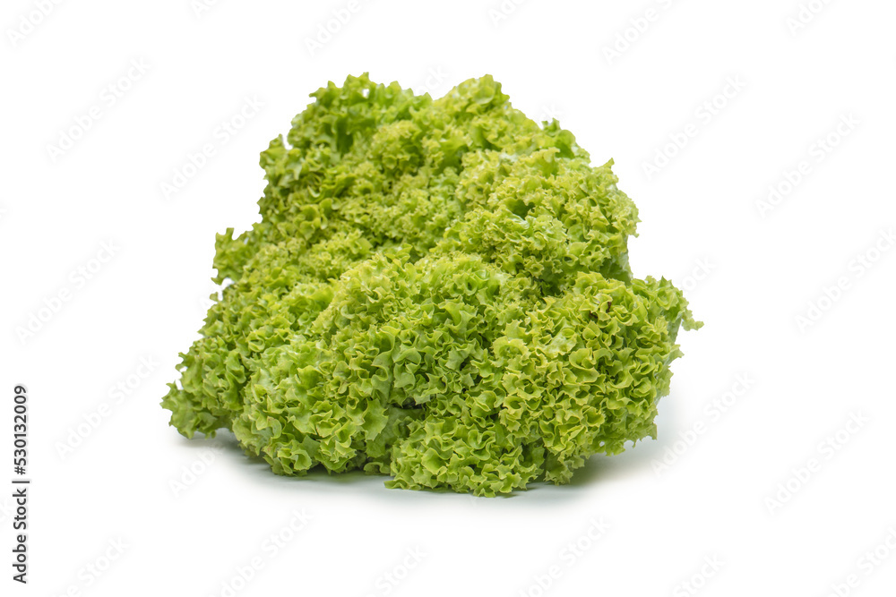 Iceberg lettuce isolated on white background. Iceberg lettuce isolated on white background.