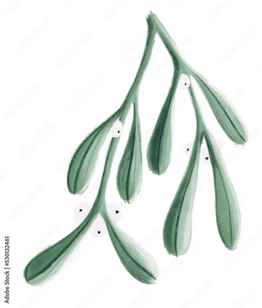Obraz premium Christmas Green Mistletoe Twig