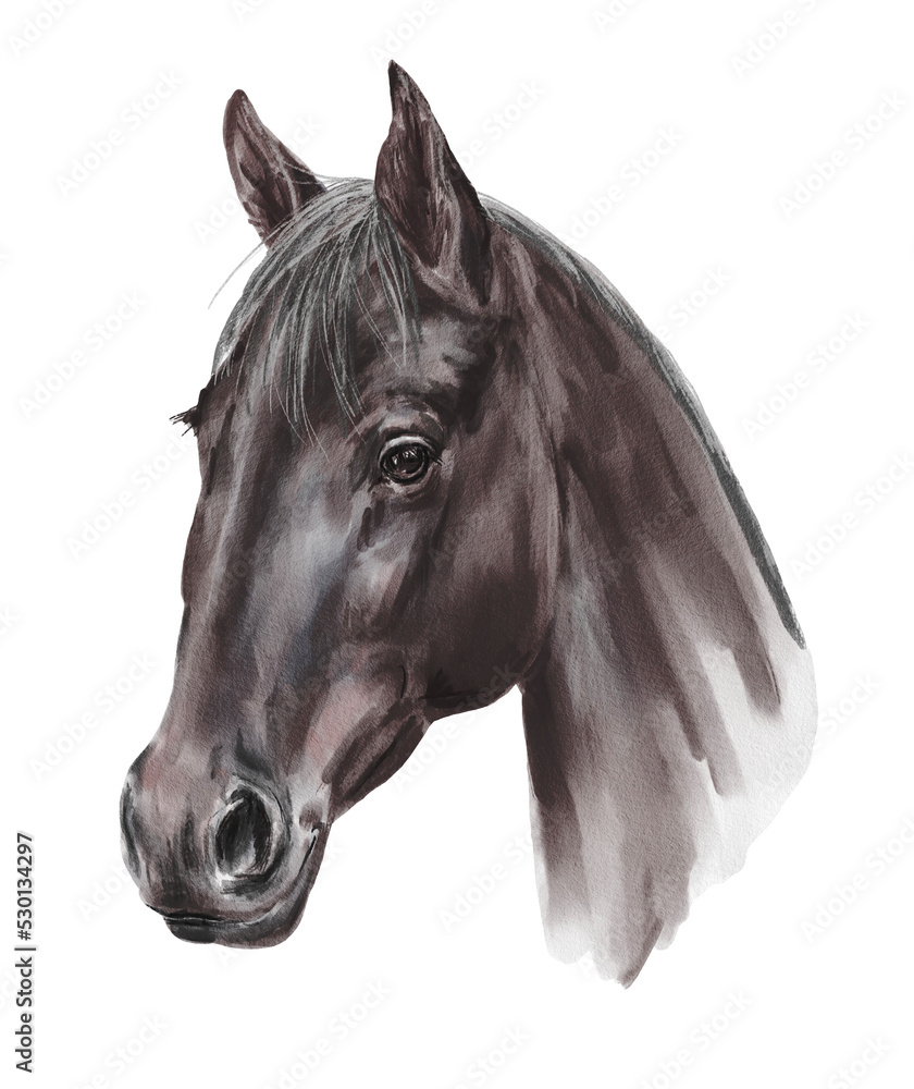 Fototapeta premium Black horse portrait. Animal illustration.