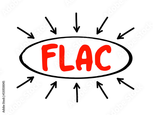 FLAC - Free Lossless Audio Codec is an audio coding format for lossless compression of digital audio, acronym technology concept with arrows