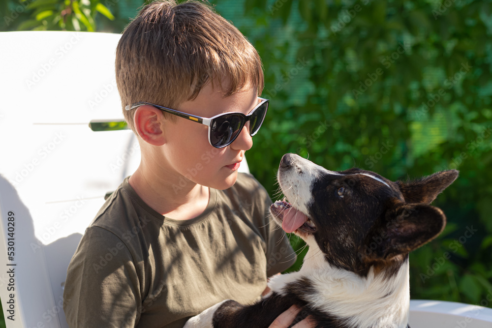 A boy is holding a purebred dog in his arms. Welsh corgi Pembroke. Home life A boy is holding a purebred dog in his arms. Welsh corgi Pembroke. Home life