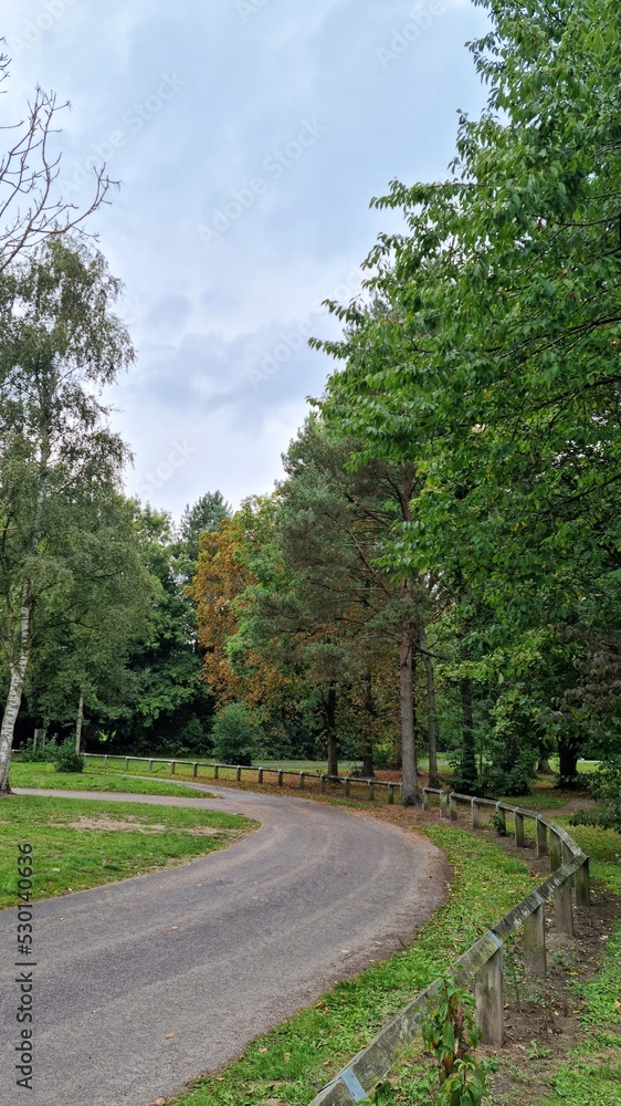 Pathway sweeping round to the left marked by a low wooden fence on the right lined with grass and lush green trees on both sides against a lightly cloudy blue sky.